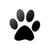 Captcha image 3777
